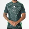 ALGERIEN AUSWÄRTSTRIKOT 24/25