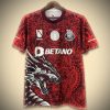 FC Porto Konzepttrikot Rot Edition 2425