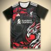 Liverpool Konzepttrikot Schwarz Edition 2024 2025