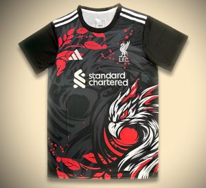 Liverpool Konzepttrikot Schwarz Edition 2024 2025