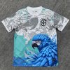 maillot-bresil-concept-bleublanc-20242025 Brasilien Concept Blau-Weiß Trikot 2024/25