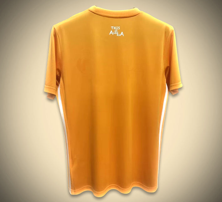 Algerien Orange Edition 2024-2025 Konzept Trikot Fußballtrikot