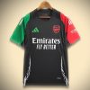 Arsenal Trainingstrikot 2425
