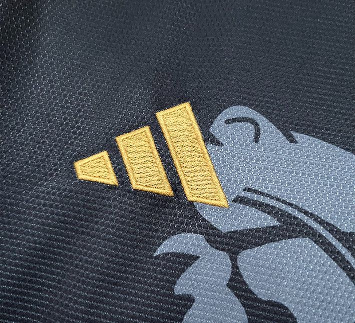 Konzept Trikot Aston Villa Edition Dragon 2425
