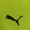 Konzept Trikot Borussia Dortmund Grün Ausgabe 2024-2025 Stoffdetail
