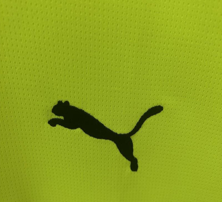 Konzept Trikot Borussia Dortmund Grün Ausgabe 2024-2025 Stoffdetail