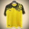 Borussia Dortmund Vorbereitungstrikot 2425