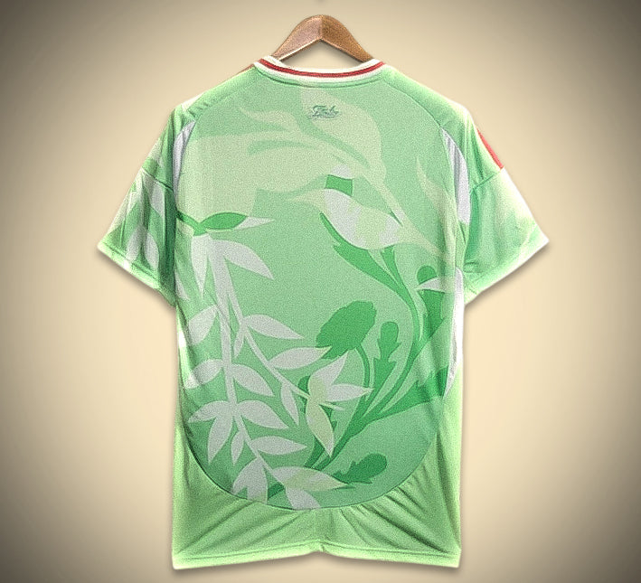 Italien Grün Fan Trikot 2425