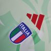 Auswärtstrikot grün Italien Saison 2425