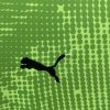Portugal Torwarttrikot Grün 2024-2025 Stoffdetail