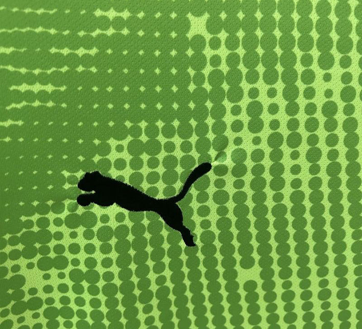 Portugal Torwarttrikot Grün 2024-2025 Stoffdetail