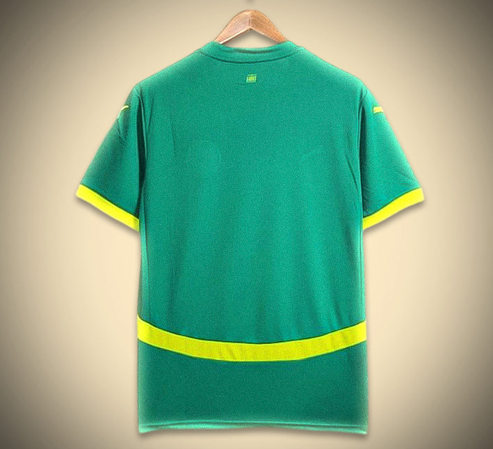 maillotsenegalexterieurdos.jpg Senegal Auswärtstrikot 2024 Rückansicht