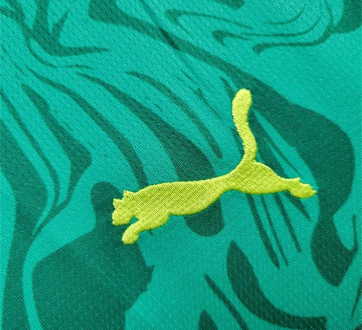 maillotsenegalexterieurpuma.jpg Senegal Auswärtstrikot 2024 Stoffdetail