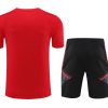 Trainingsset Bayern München Drittes Trikot Saison 2023 2024