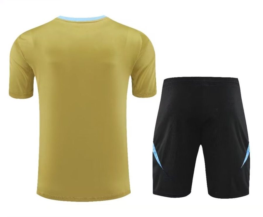 Argentine Trikot und Shorts Set Saison 2024/2025