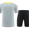 Trikot und Shorts Liverpool Saison 2024 2025 Heimtrikot rot