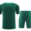 Trikot und Shorts Portugal Saison 2024/2025 Fußballtrikot