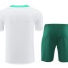 Trikot und Shorts Portugal Saison 2024/2025 Fußballtrikot