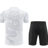Trikot und Shorts Real Madrid Saison 2024/2025
