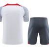 Liverpool weiß-graues Trainingsset Saison 2023 2024