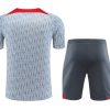 Liverpool graues Trainingsanzug Set Saison 2023/2024 offiziell