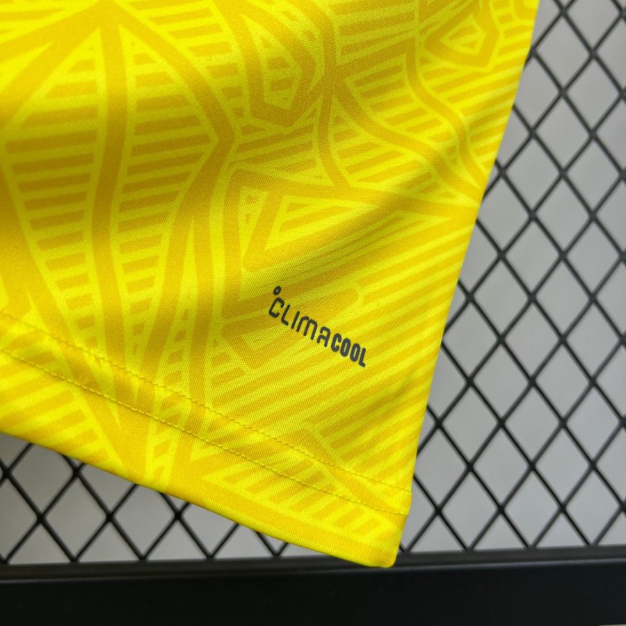Trikot Ukraine Heim 2026 blau und gelb Fan