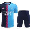 TRAINING TRIKOT ARSENAL VIERTE 20232024
