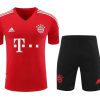 TRAINING TRIKOT BAYERN MÜNCHEN AUSWÄRTS 2023-2024