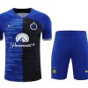 Inter Mailand Trainings-Trikot 20232024