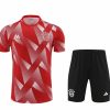 Trainings-Trikot Bayern München Rot 1 2023-2024