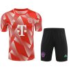 kit-training-bayern-munich-rouge-2-20232024 Trainings-Trikot Bayern München Rot 2 2023-2024