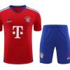 Trainings-Trikot Bayern München RotBlau 2023-2024