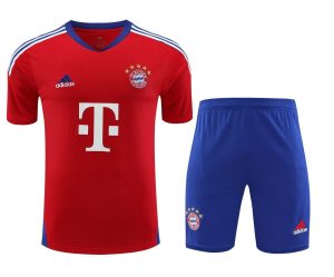 Trainings-Trikot Bayern München RotBlau 2023-2024