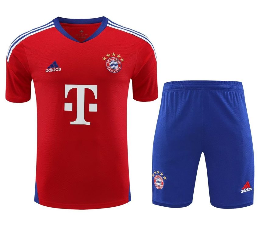 Trainings-Trikot Bayern München RotBlau 2023-2024