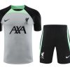 Trainings-Trikot Liverpool Weiß 2023-2024