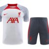 Trainings-Trikot Liverpool WeißGrau 2023-2024