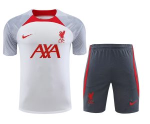 Trainings-Trikot Liverpool WeißGrau 2023-2024