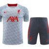 Trainings-Trikot Liverpool Grau 2023-2024