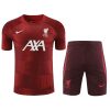 Trainings-Trikot Liverpool Rot 2023-2024