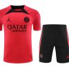 TRAINING TRIKOT PSG ROSA 20232024