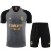 TRAINING TRIKOT REAL MADRID GRAU 20232024