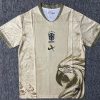 Brasilien Concept Gold Trikot 2025/26