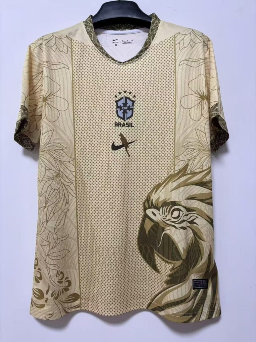 Brasilien Concept Special Trikot 2025/26