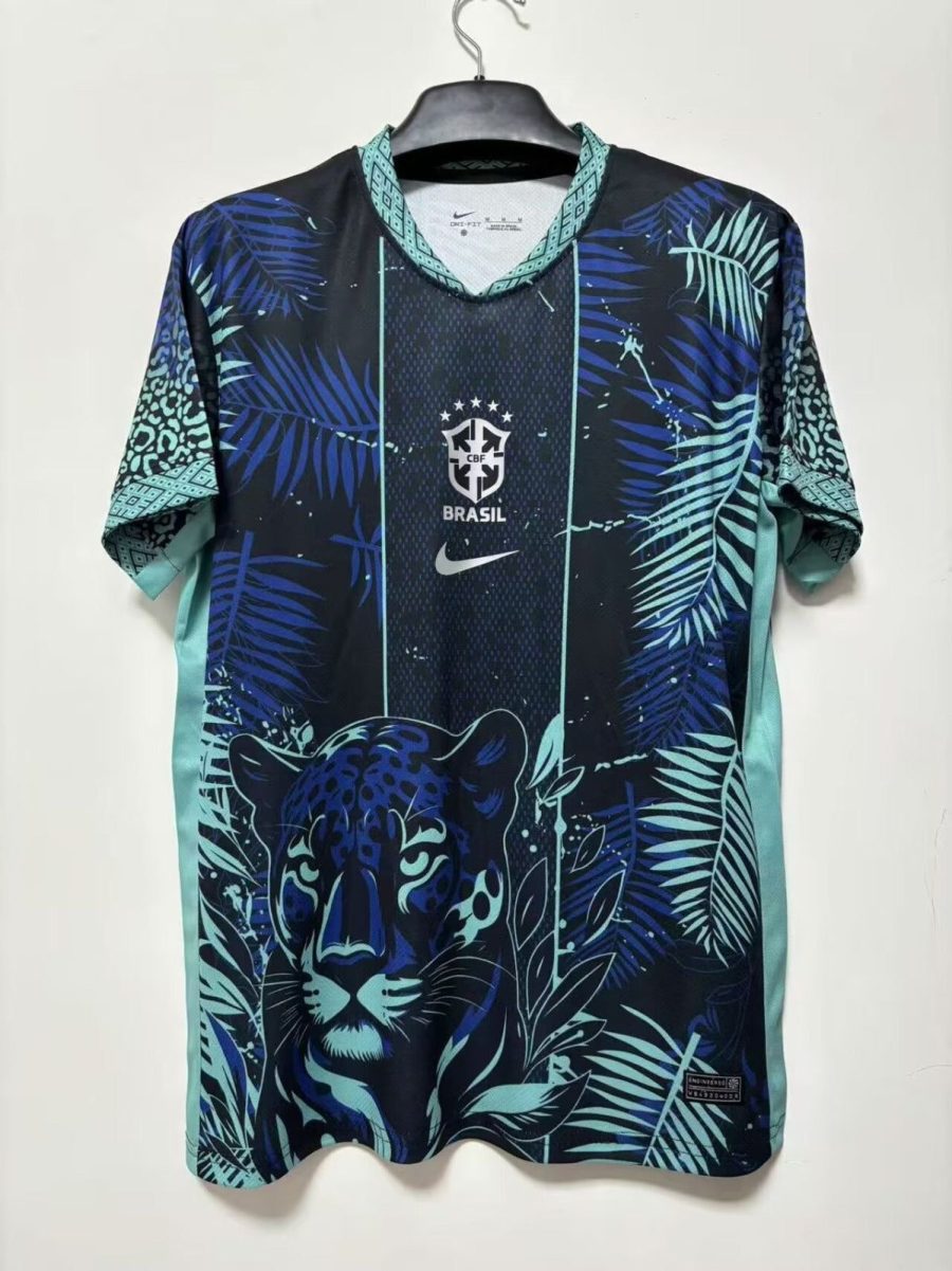 Brasilien Concept Special Trikot 2025/26
