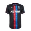 Crystal Palace Auswärtstrikot 2024-2025