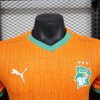 Elfenbeinküste Heimtrikot Saison 2025 offizielles Trikot der Elefanten