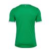 Heimtrikot AS Saint-Étienne Saison 2024 2025 grün und weiß