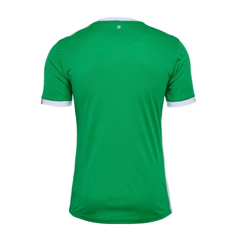 Heimtrikot AS Saint-Étienne Saison 2024 2025 grün und weiß