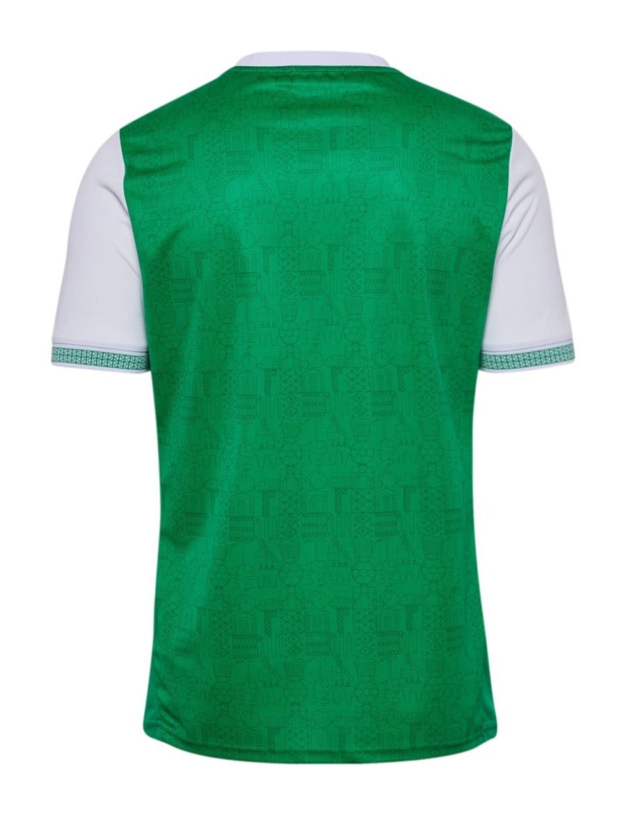 maillot-domicile-as-saint-etienne-saison-2025-2026-vert-et-blanc Heimtrikot AS Saint-Étienne Saison 2025 2026 grün und weiß