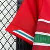 Wales Heimtrikot Saison 2026 offiziell rot